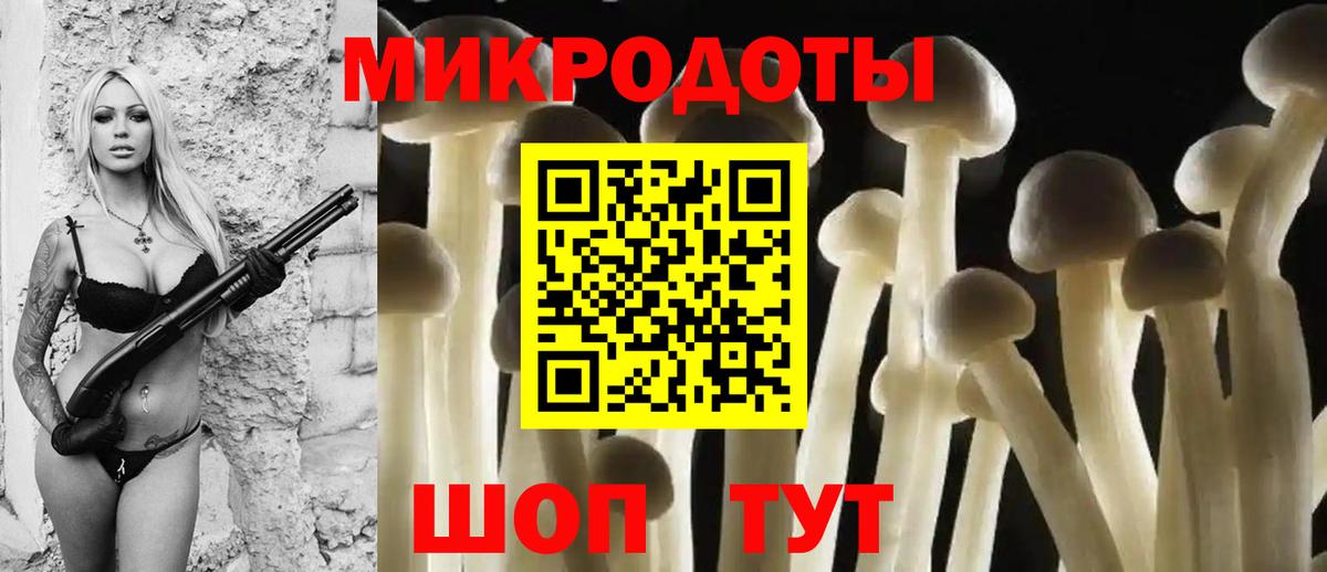Красноармейск  купить закладку  Галлюциногенные грибы GOLDEN TEACHER  Вход с VPN  Галлюциногенные грибы GOLDEN TEACHER 